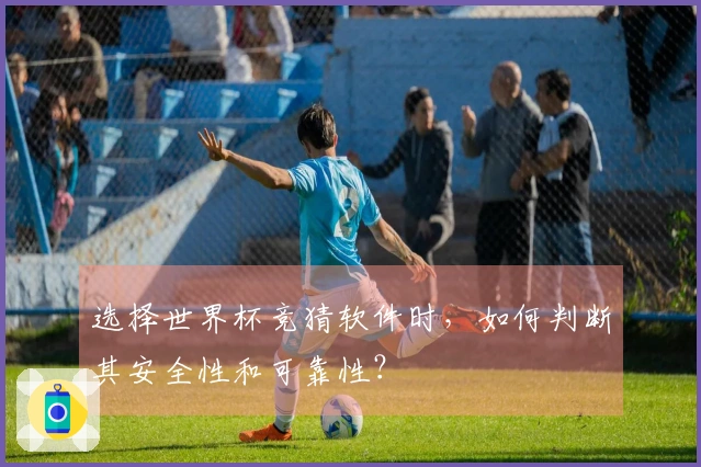 选择世界杯竞猜软件时，如何判断其安全性和可靠性？