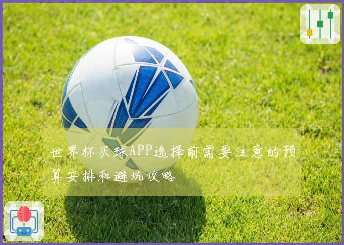世界杯买球APP选择前需要注意的预算安排和避坑攻略