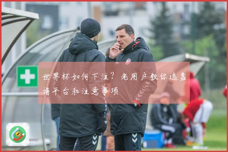 世界杯如何下注？老用户教你选靠谱平台和注意事项