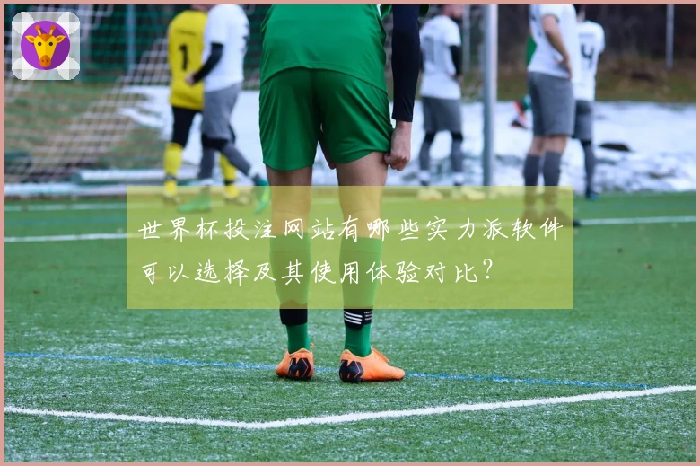 世界杯投注网站有哪些实力派软件可以选择及其使用体验对比？