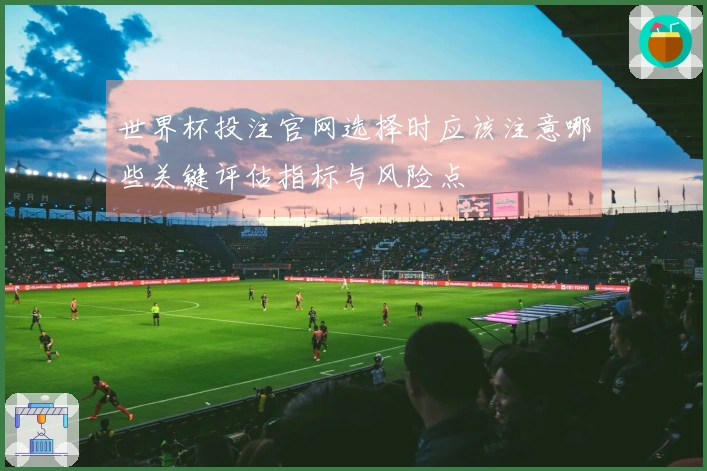 世界杯投注官网选择时应该注意哪些关键评估指标与风险点