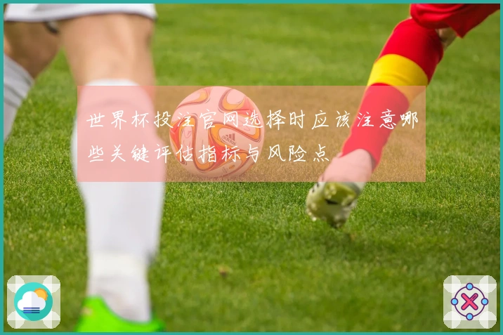 世界杯投注官网选择时应该注意哪些关键评估指标与风险点