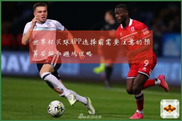 世界杯买球APP选择前需要注意的预算安排和避坑攻略