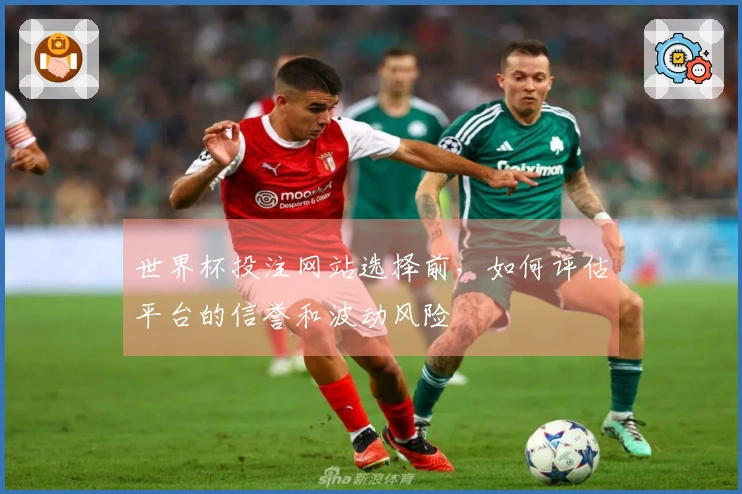 世界杯投注网站选择前，如何评估平台的信誉和波动风险
