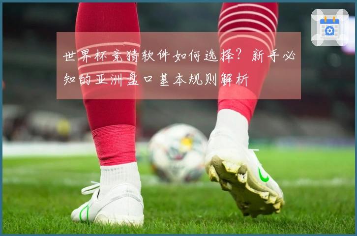 世界杯竞猜软件如何选择？新手必知的亚洲盘口基本规则解析