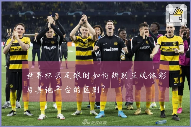 世界杯买足球时如何辨别正规体彩与其他平台的区别？