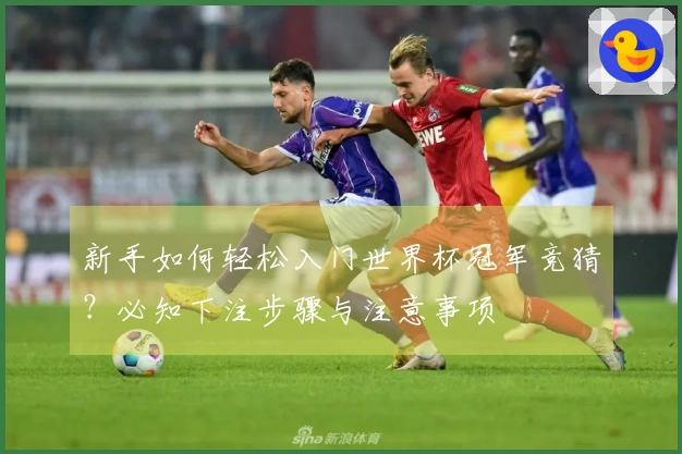 新手如何轻松入门世界杯冠军竞猜?必知下注步骤与注意事项