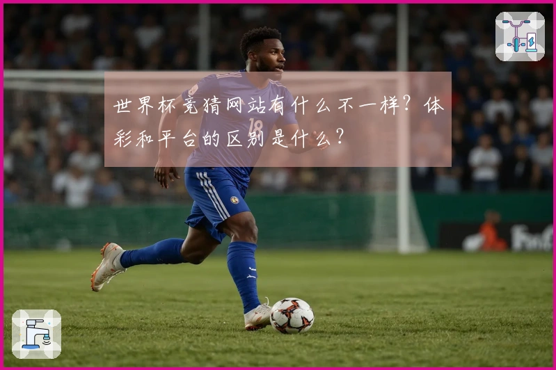 世界杯竞猜网站有什么不一样？体彩和平台的区别是什么？