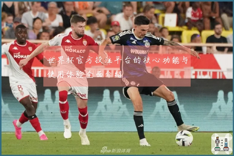 世界杯官方投注平台的核心功能与使用体验全面介绍