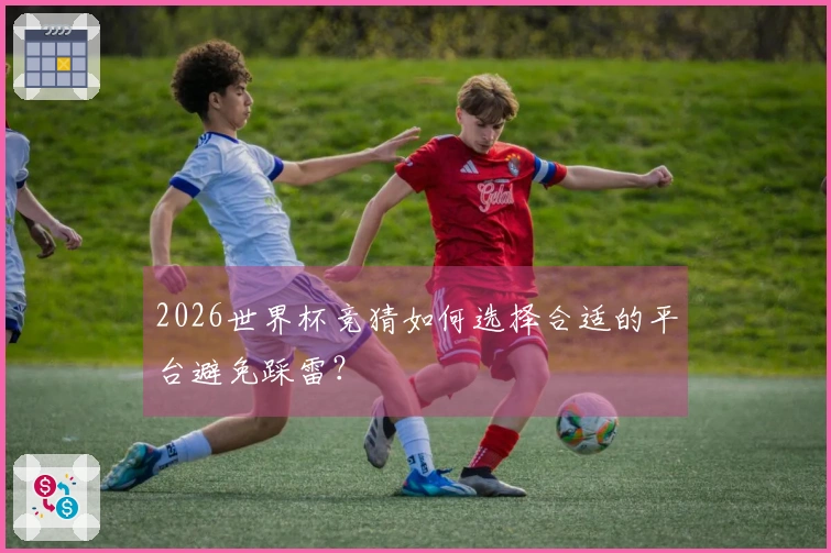 2026世界杯竞猜如何选择合适的平台避免踩雷？