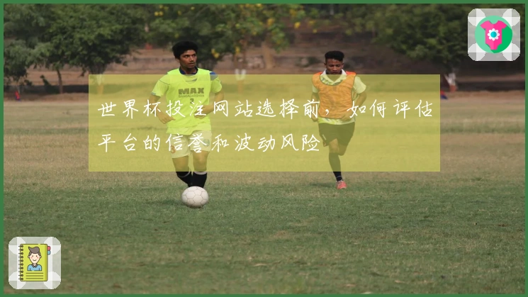 世界杯投注网站选择前，如何评估平台的信誉和波动风险